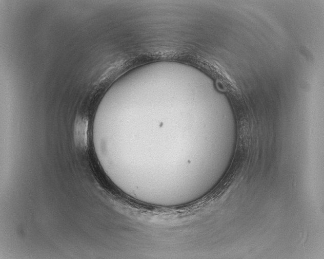 X0000116140024200912071252