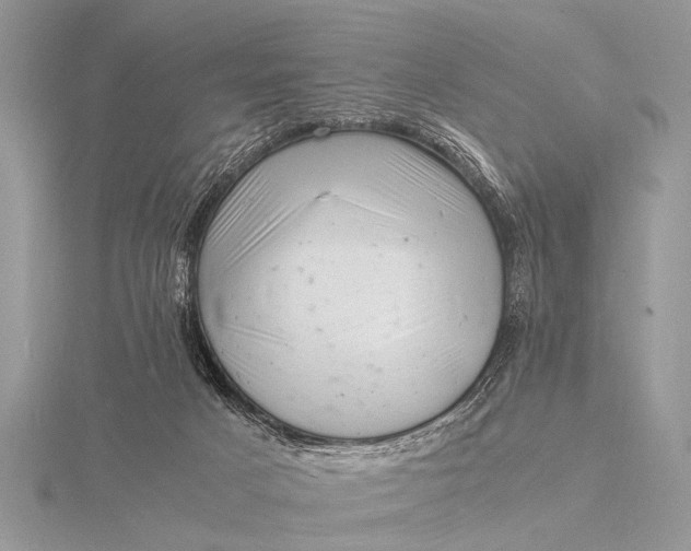 X0000116140025200912071252