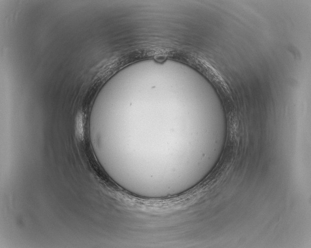 X0000116140026200912071252