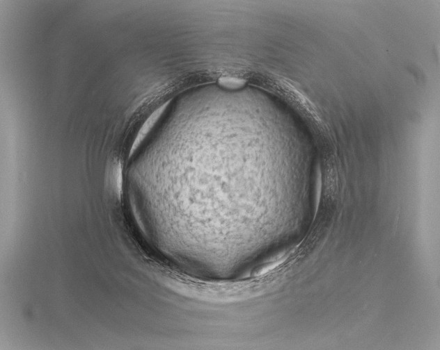 X0000116140027200912071252