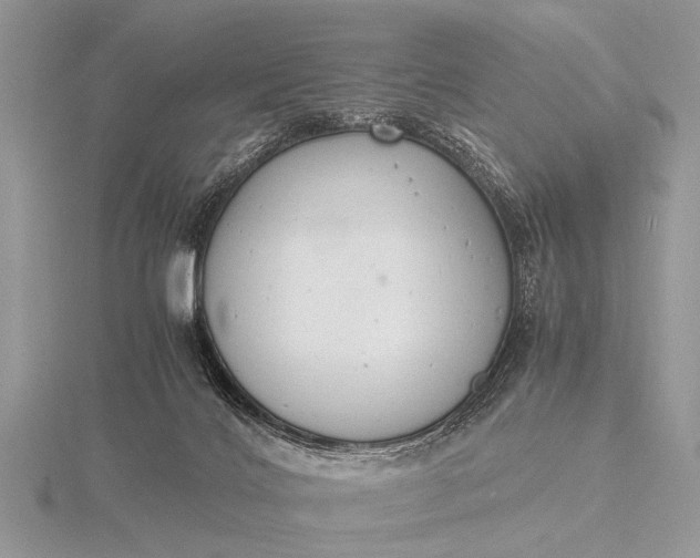 X0000116140028200912071252