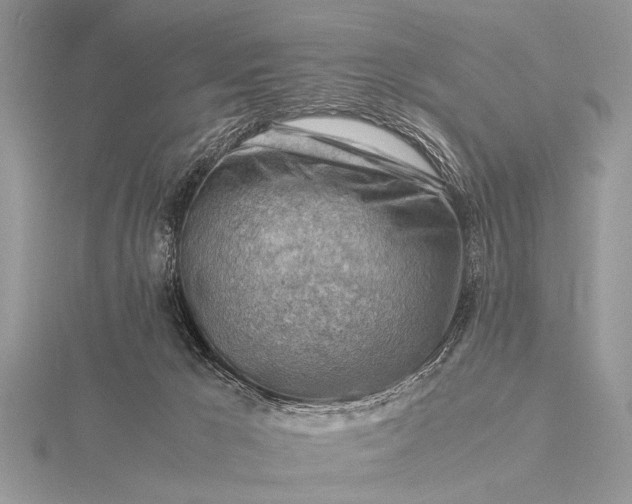 X0000116140029200912071252