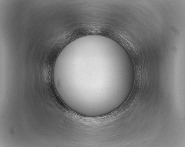 X0000116140030200912071252