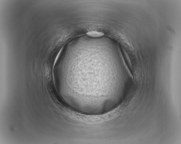 X0000116140031200912071252