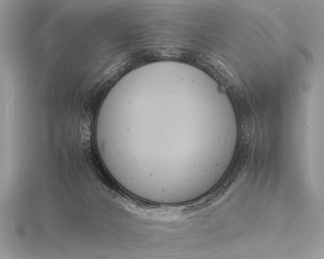 X0000116140032200912071252