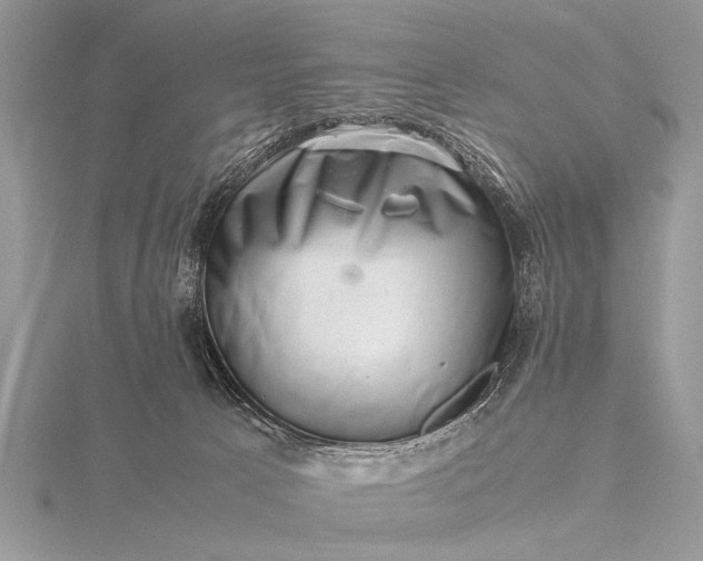 X0000116140033200912071252