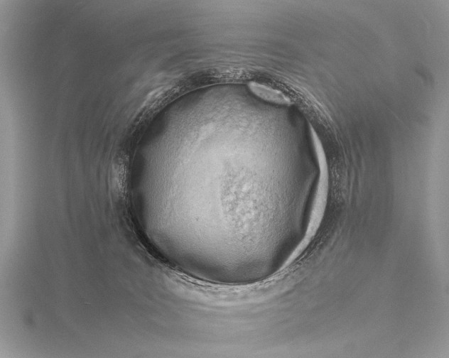 X0000116140035200912071252