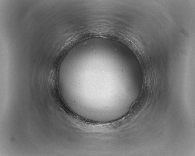 X0000116140036200912071252