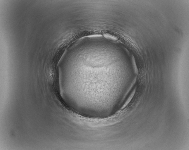 X0000116140039200912071252