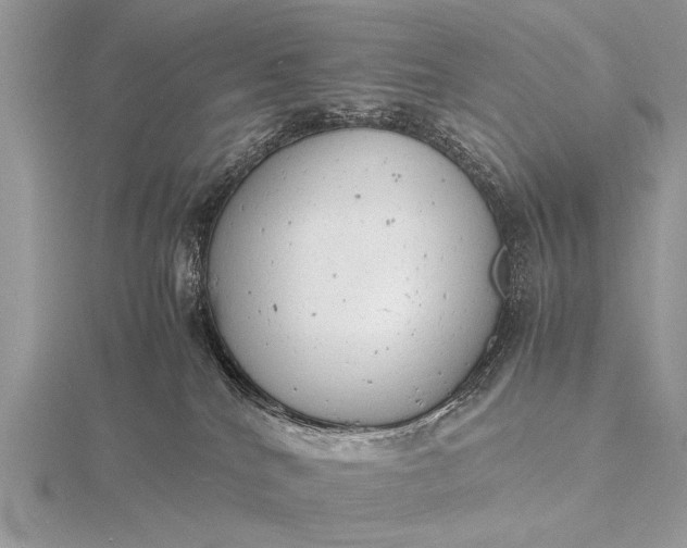 X0000116140040200912071252