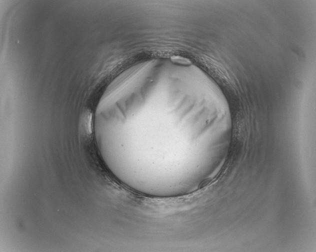 X0000116140041200912071252