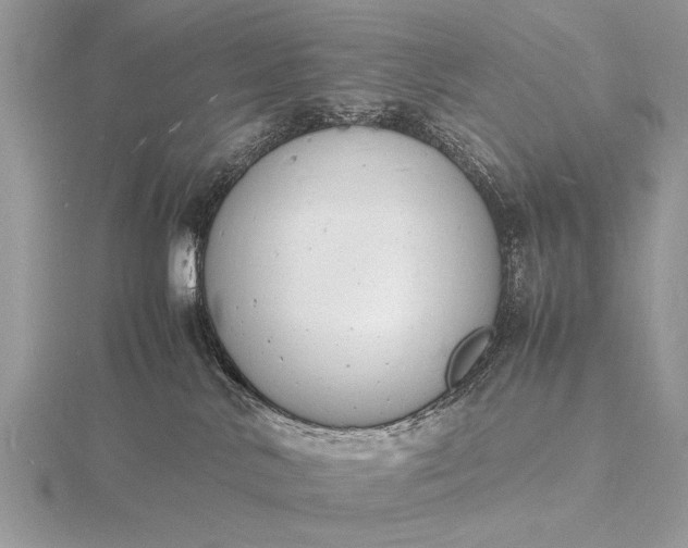 X0000116140042200912071252