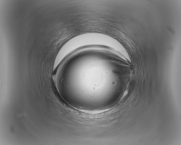 X0000116140043200912071252