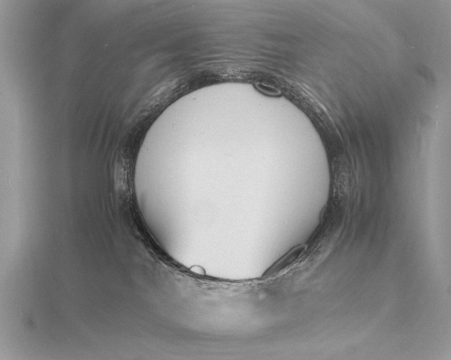 X0000116140044200912071252