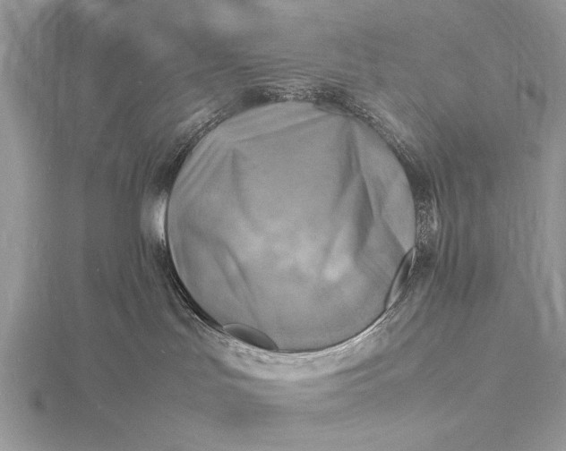 X0000116140047200912071252