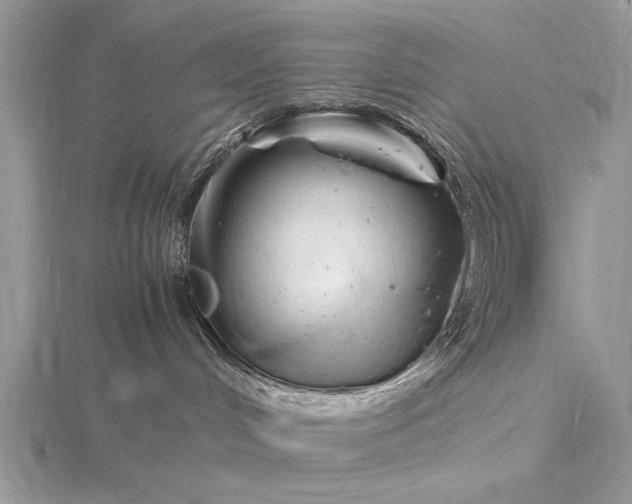 X0000116140048200912071252