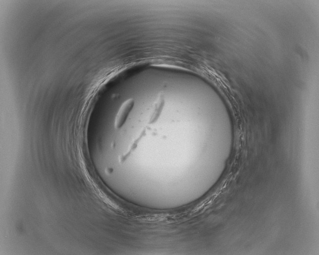 X0000116140049200912071251