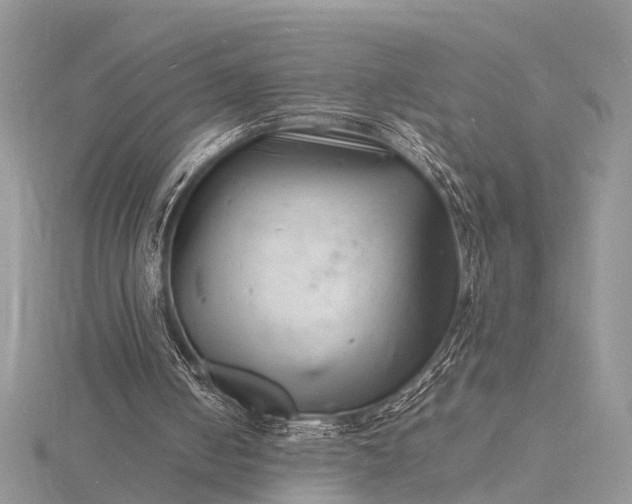 X0000116140050200912071251