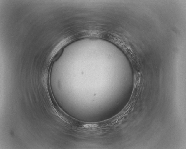 X0000116140051200912071251