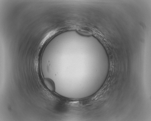 X0000116140054200912071251