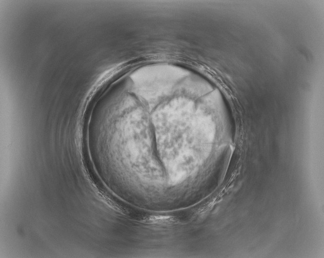 X0000116140055200912071251