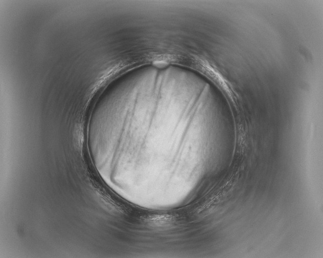 X0000116140059200912071251