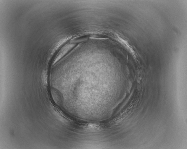 X0000116140060200912071251