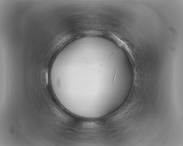 X0000116140061200912071251