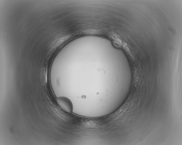 X0000116140062200912071251