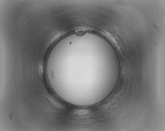 X0000116140063200912071251