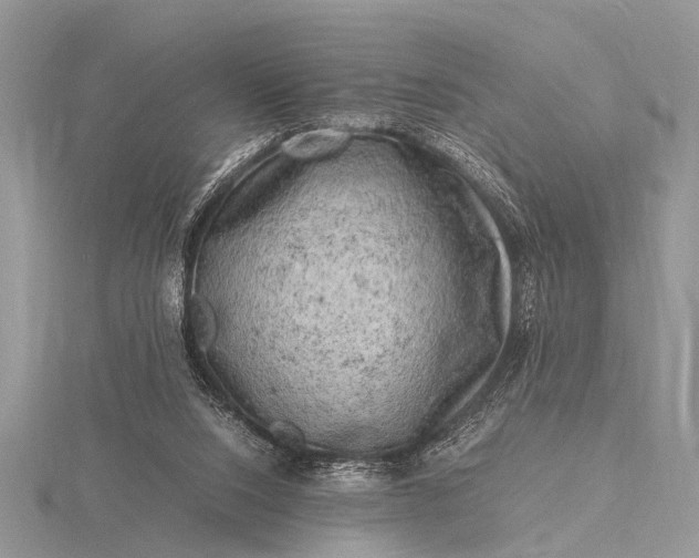 X0000116140064200912071251