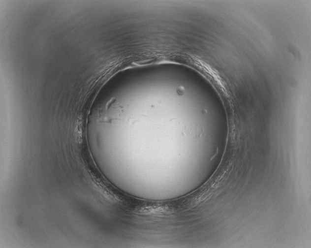 X0000116140065200912071251