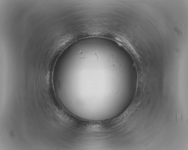 X0000116140066200912071251