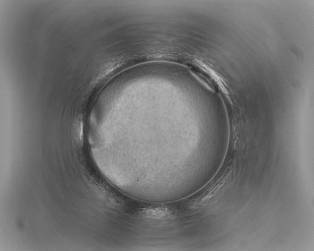 X0000116140067200912071251