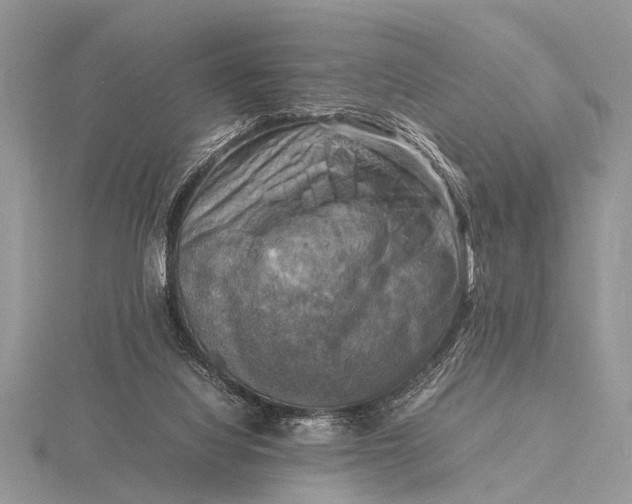 X0000116140068200912071251