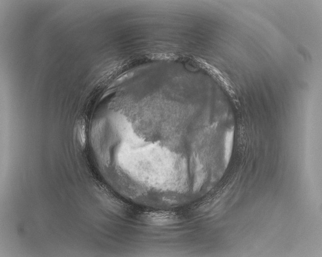 X0000116140069200912071251