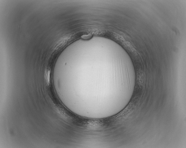 X0000116140070200912071251