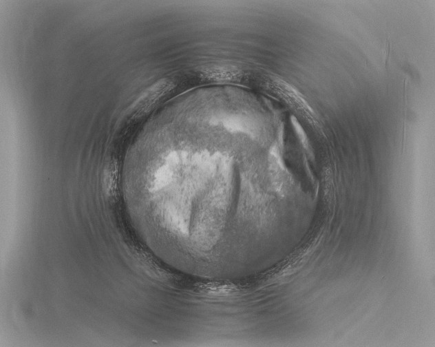 X0000116140073200912071251