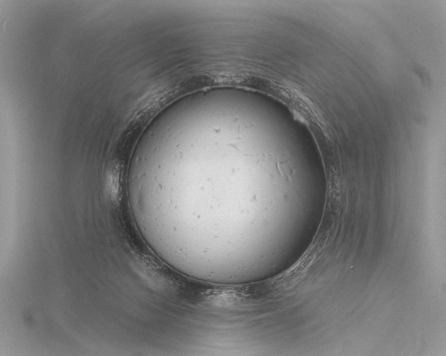 X0000116140074200912071251