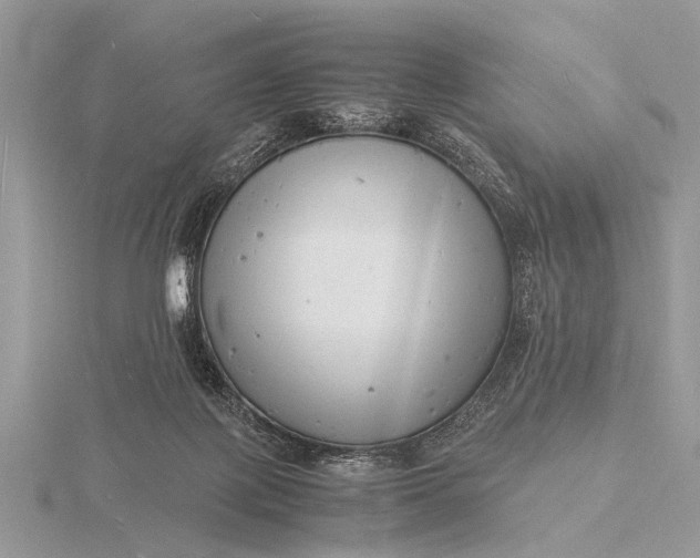 X0000116140075200912071251