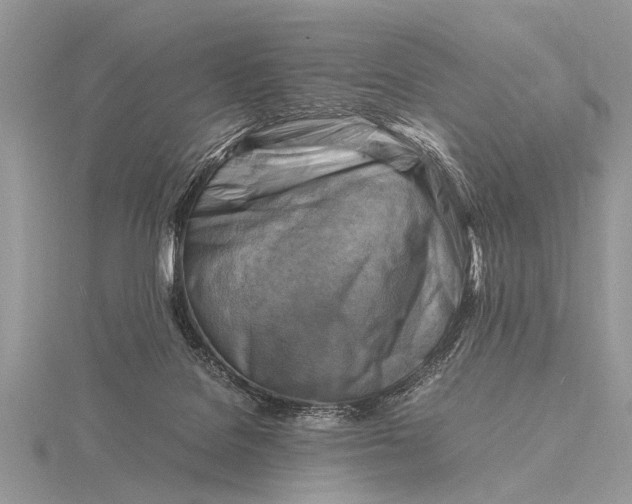 X0000116140076200912071251