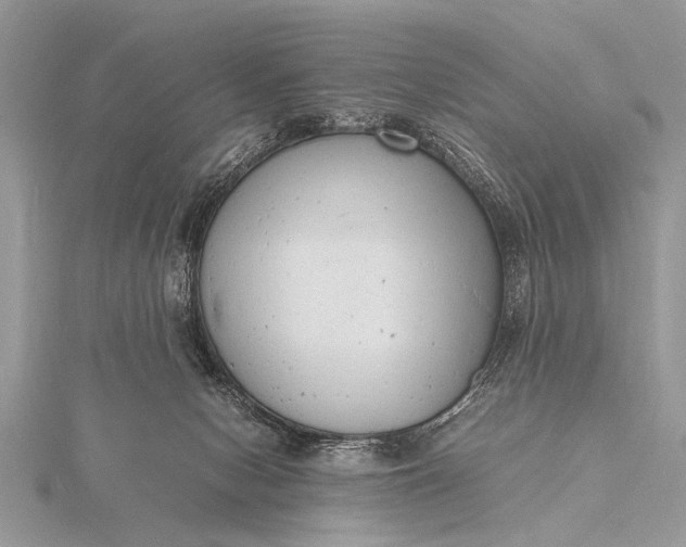 X0000116140078200912071251