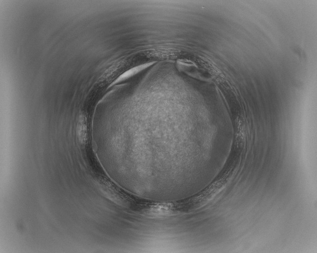 X0000116140080200912071252