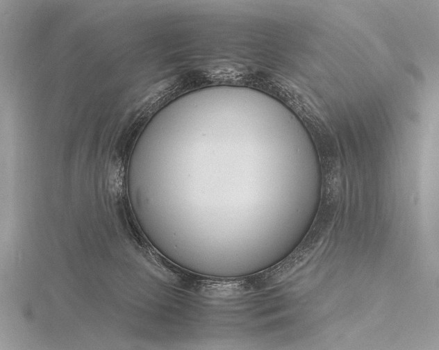 X0000116140081200912071252