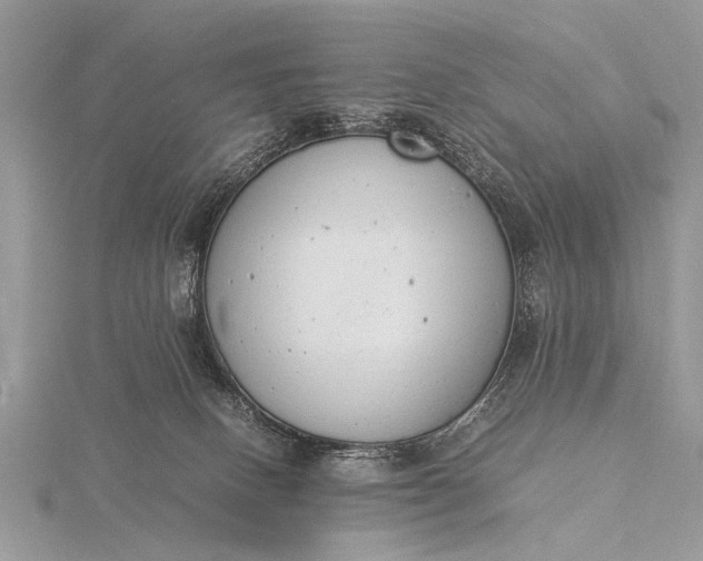 X0000116140082200912071252