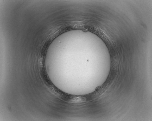 X0000116140083200912071252