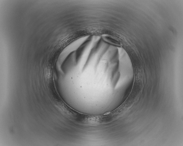 X0000116140084200912071252