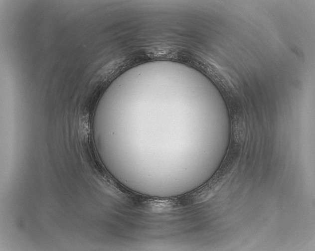 X0000116140085200912071252