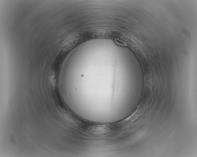 X0000116140086200912071252