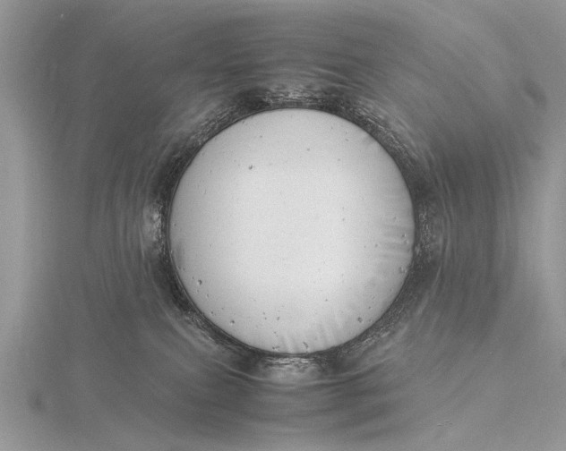 X0000116140087200912071252